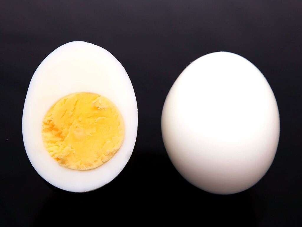 Freeze Eggs