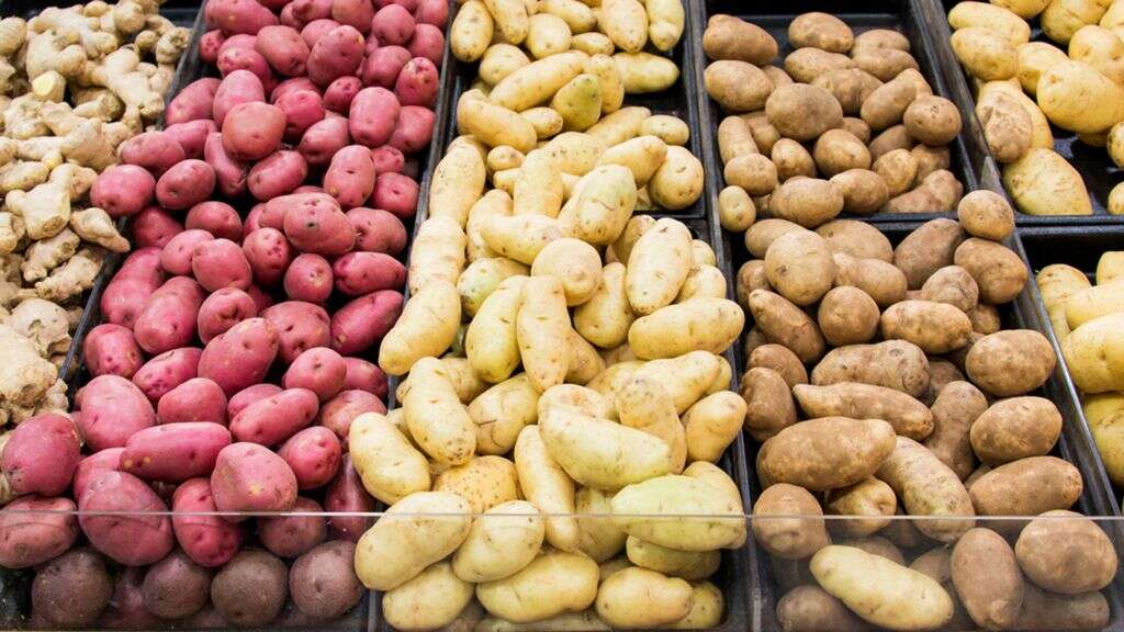 Freeze Mashed Potatoes