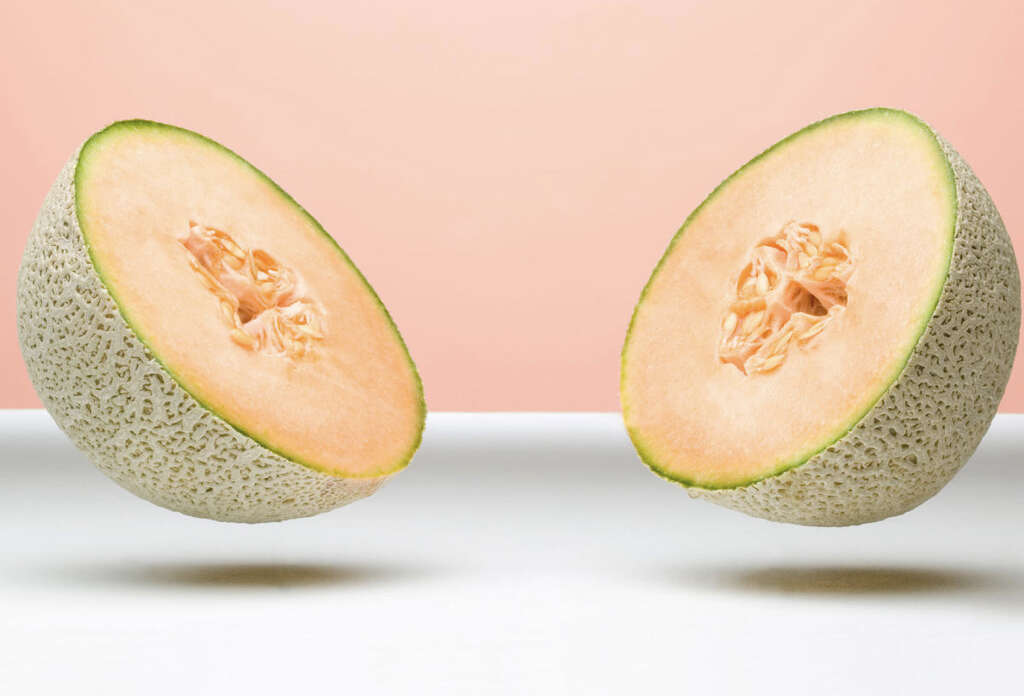 Cantaloupe