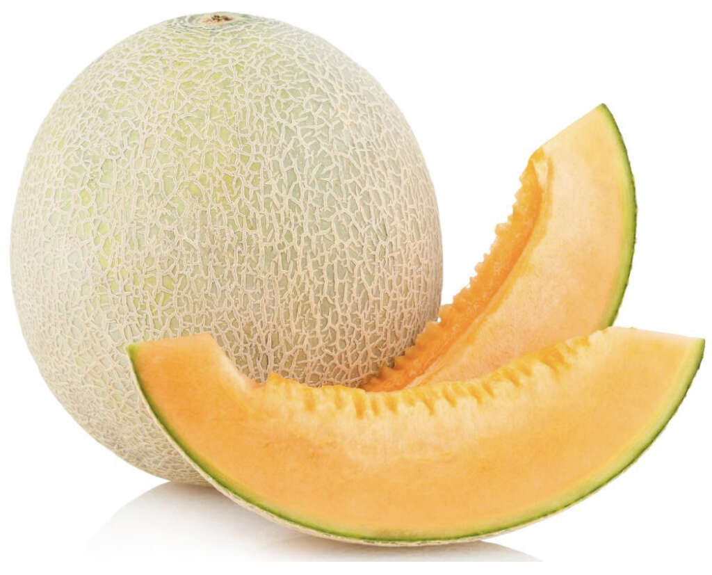 Cantaloupe
