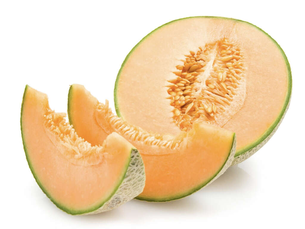 Cantaloupe