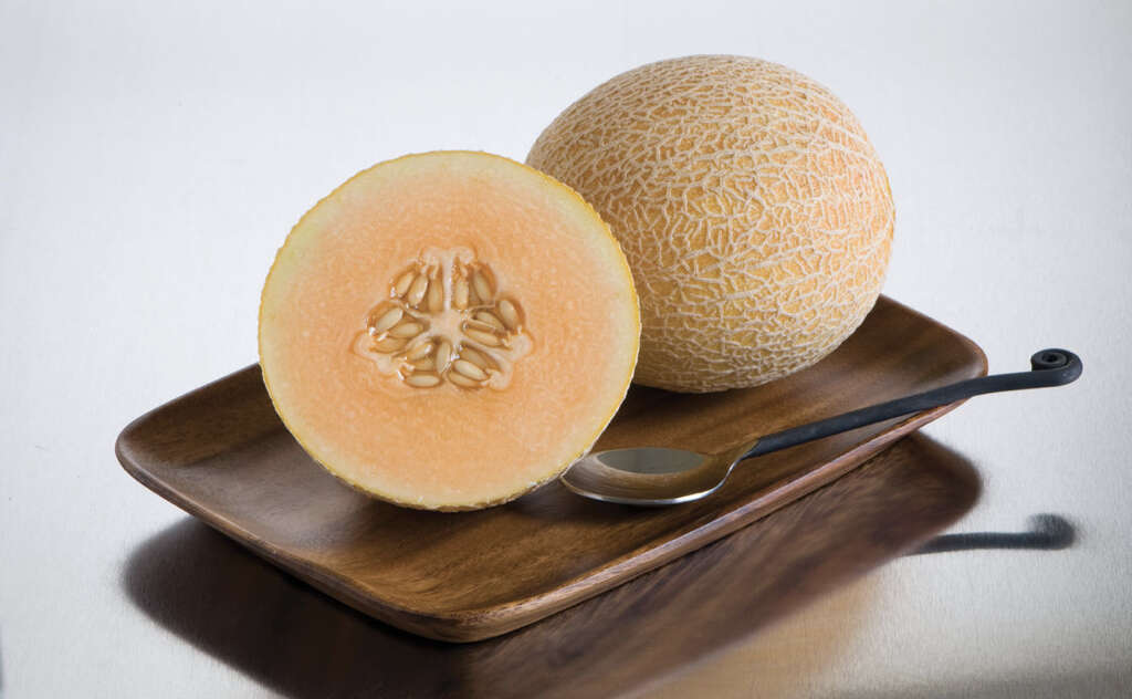 Cantaloupe