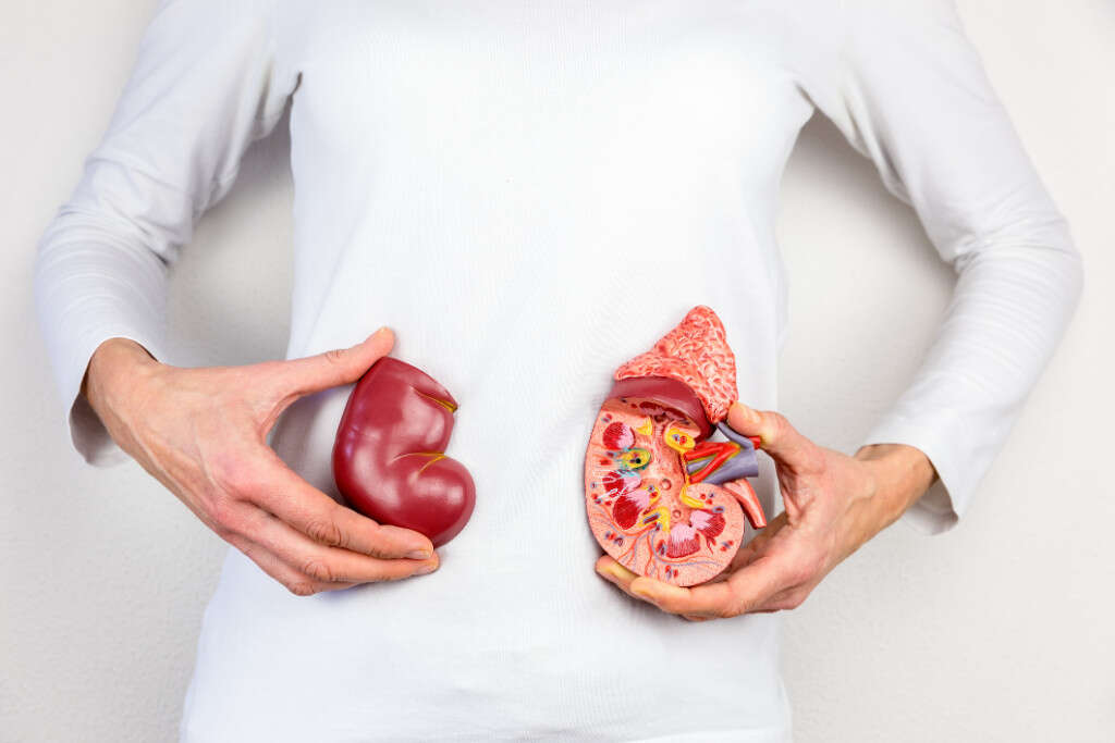 Bladder Infection