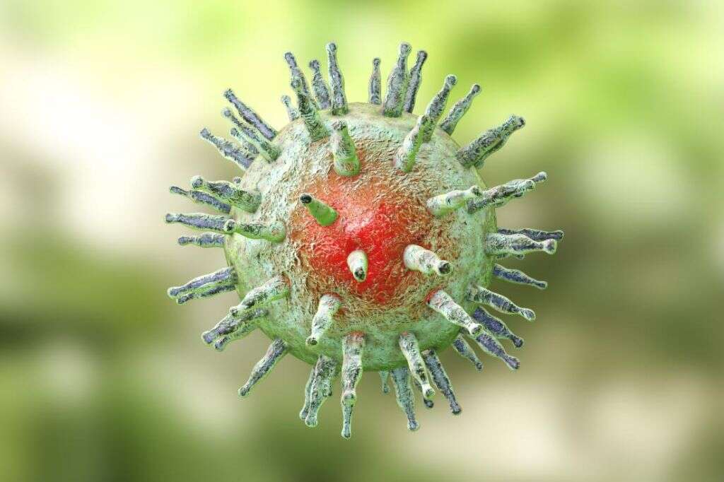 Inflamed Tonsils