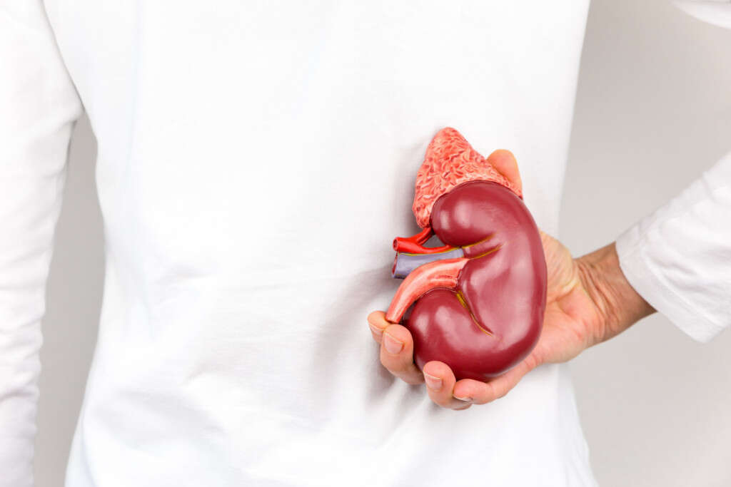 Kidney Pain