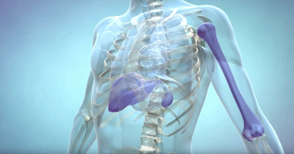 Spleen Pain