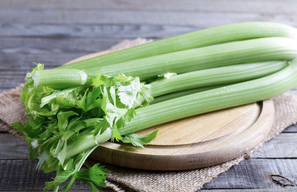 Celery