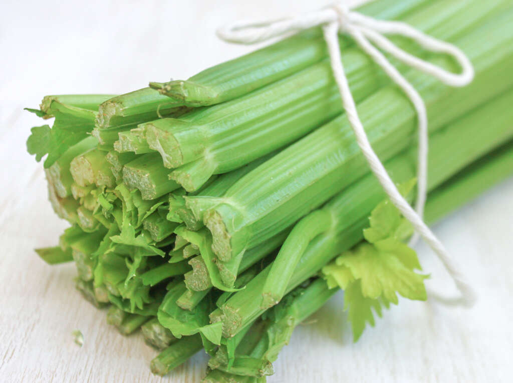 Celery
