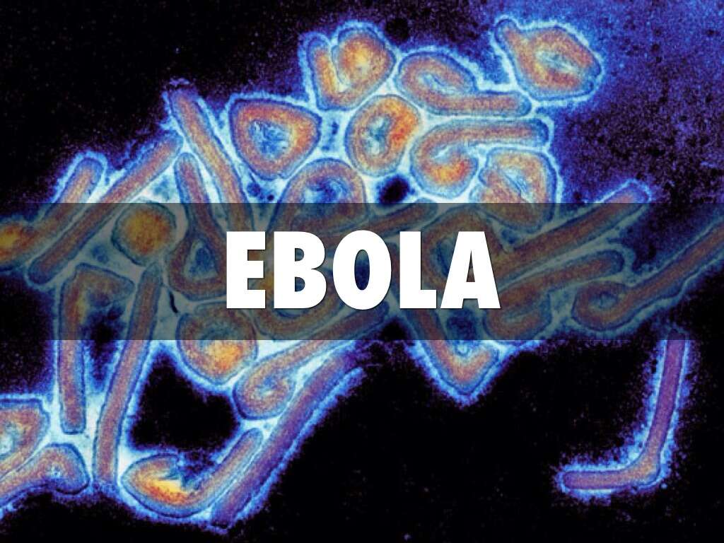 Ebola