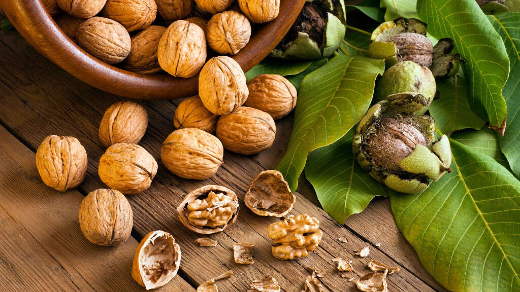Fatty Liver Diet