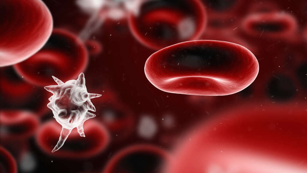 Fluid In Lungs