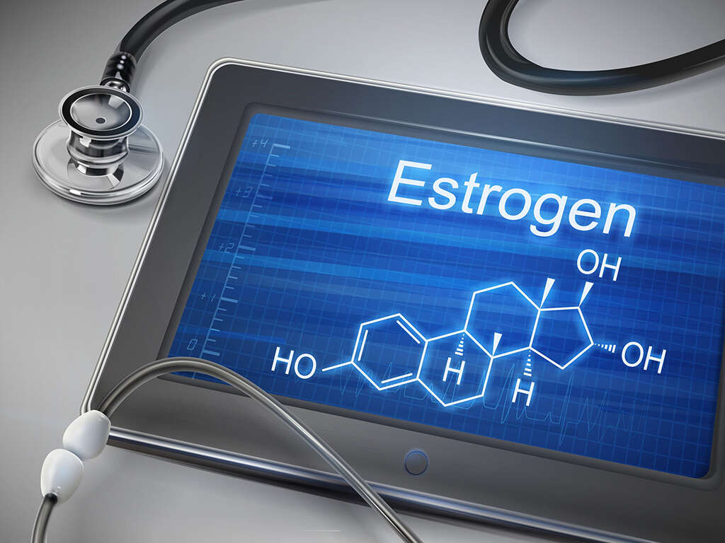 Estrogen