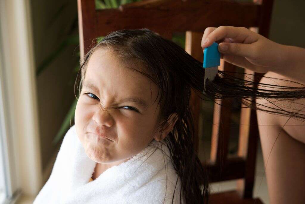 Head Lice
