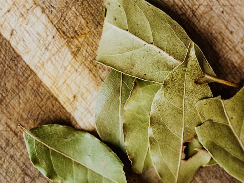 Bay Leaves