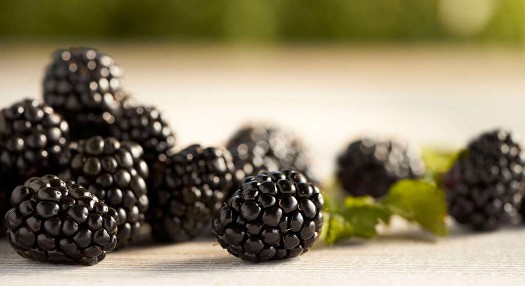 Blackberries