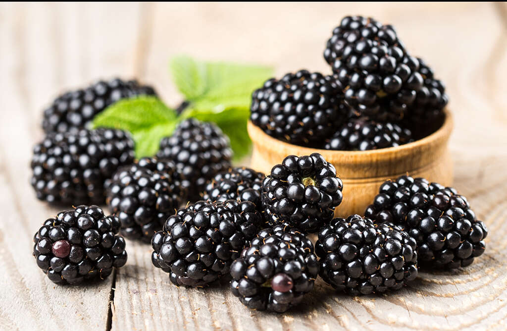 Blackberries