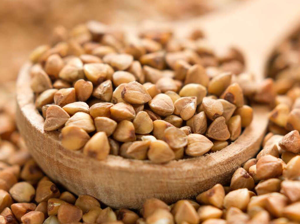 Buckwheat