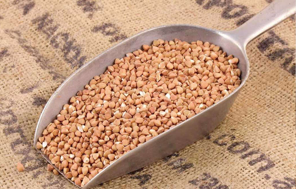 Buckwheat