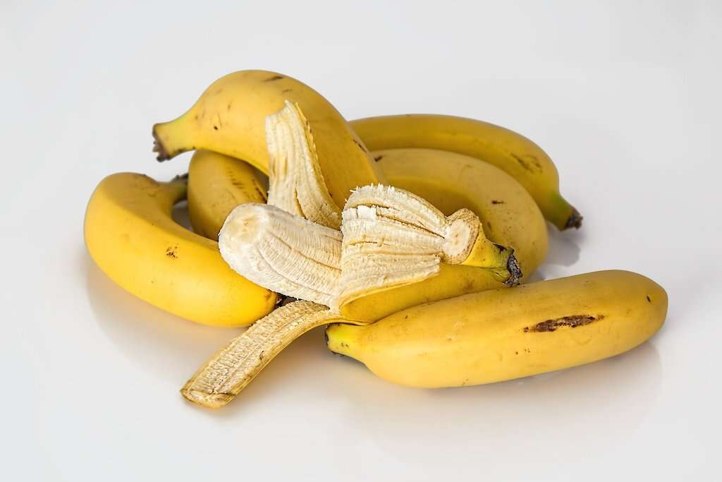 Nutrition
