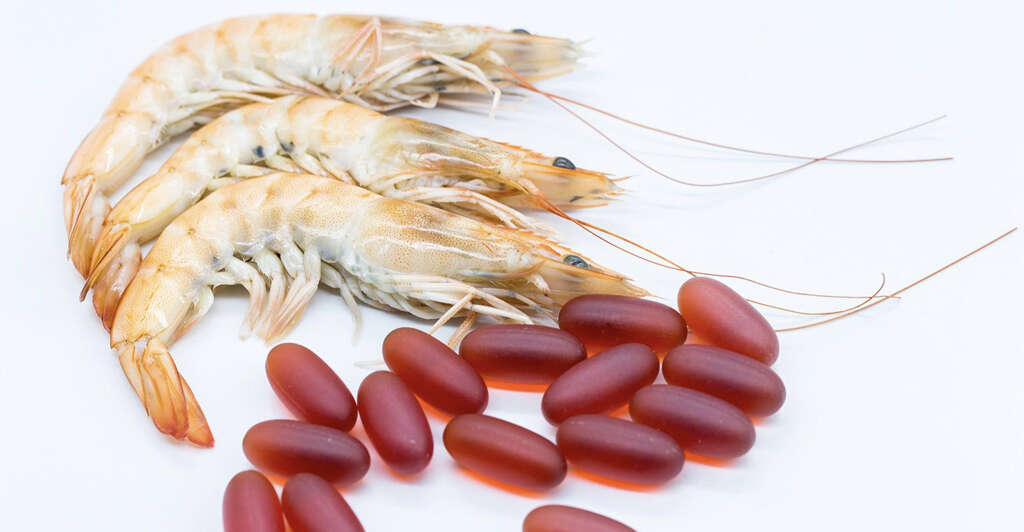 Krill Oil