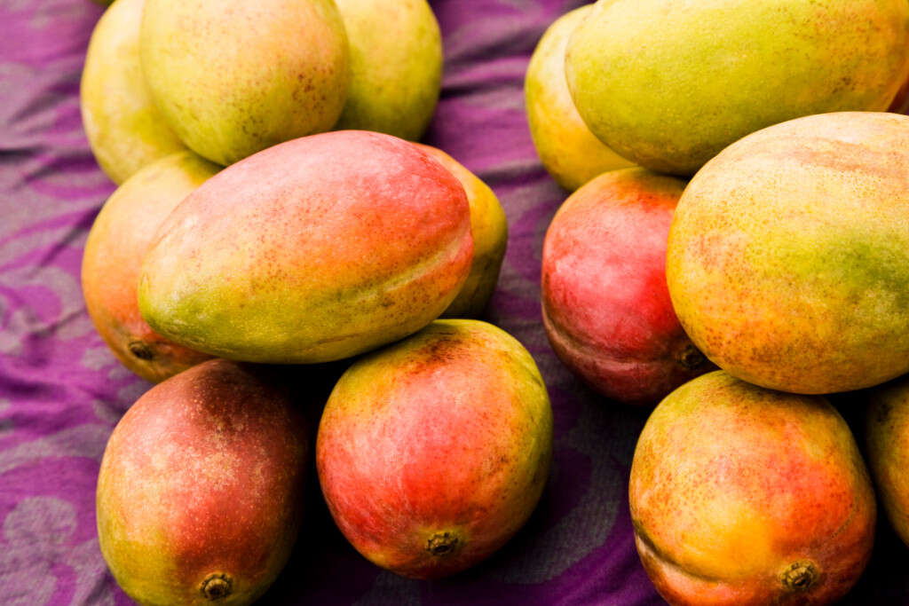Mangos