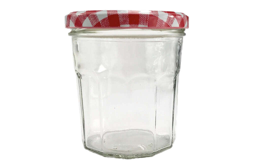 Fruit Fly Traps