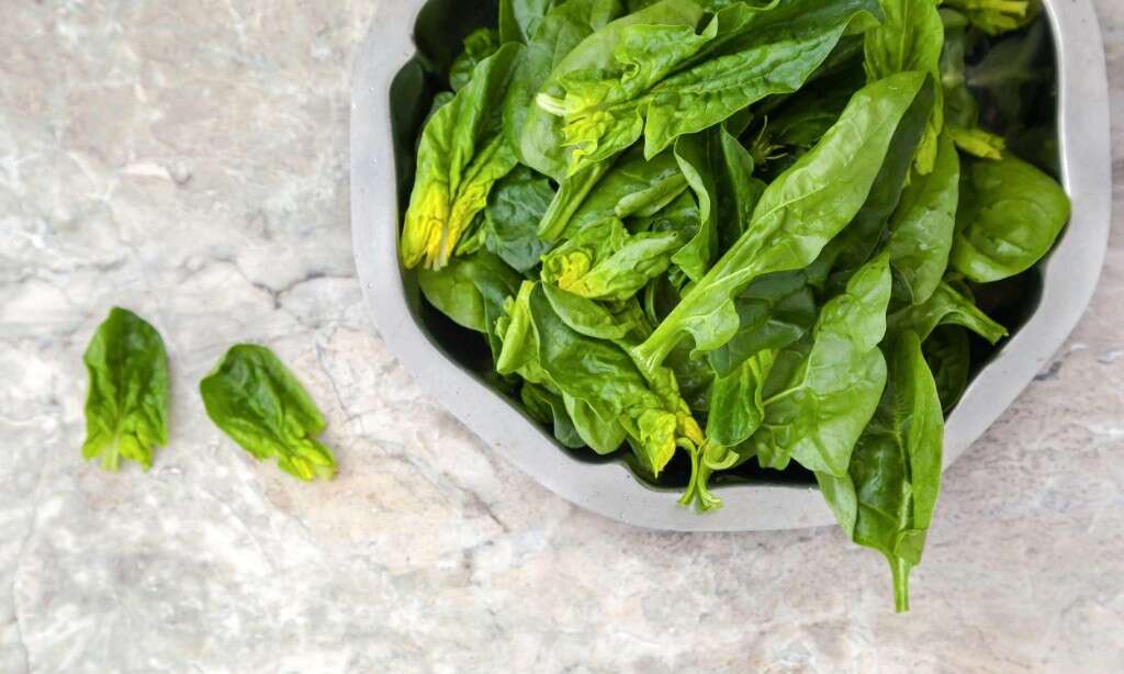 Boost Immune System