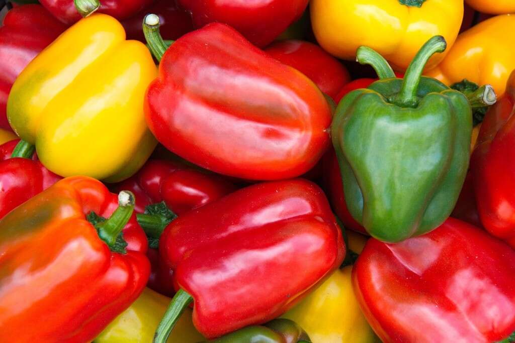 Boost Immune System