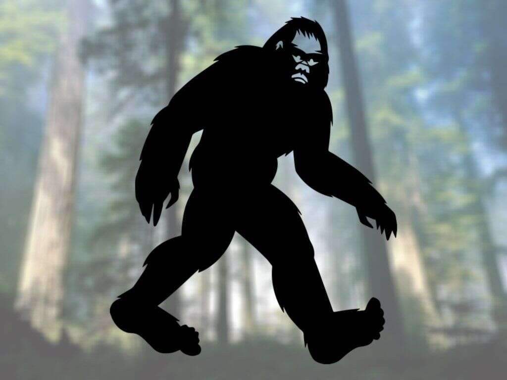 Bigfoot Real