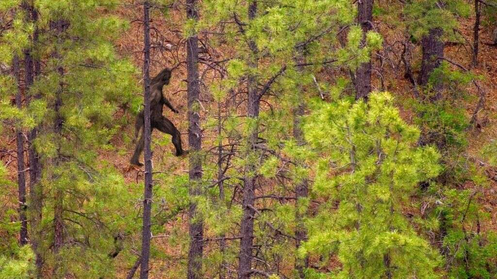 Bigfoot Real