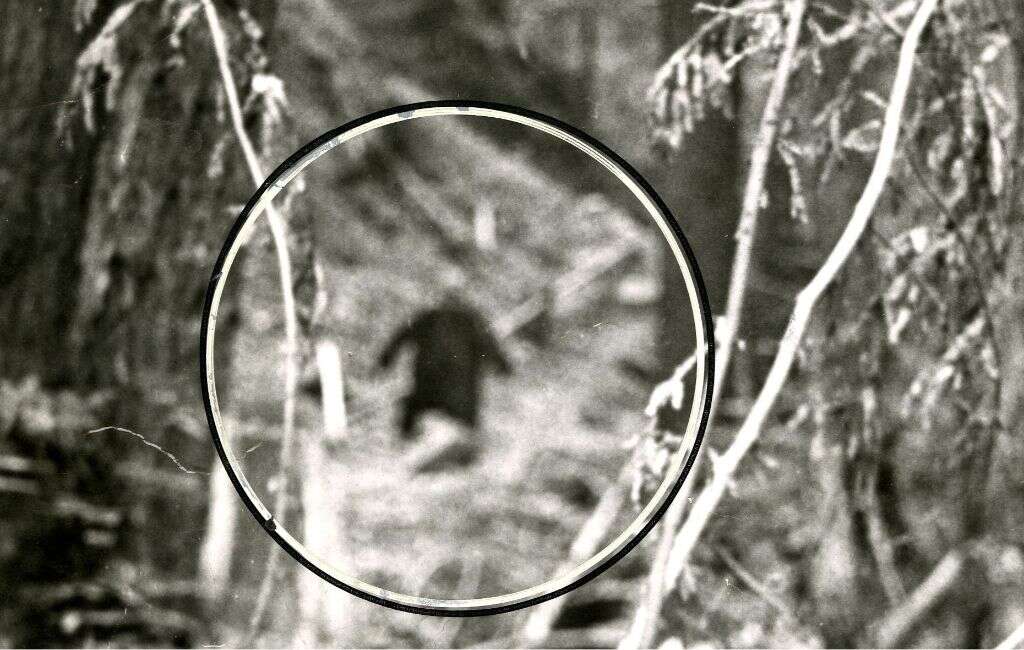 Bigfoot Real