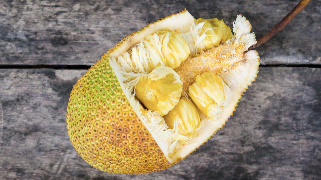 Jackfruit