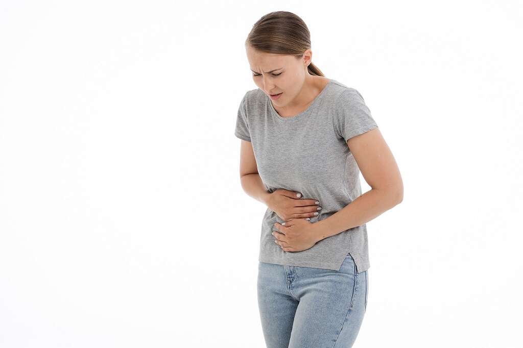 Large Intestine