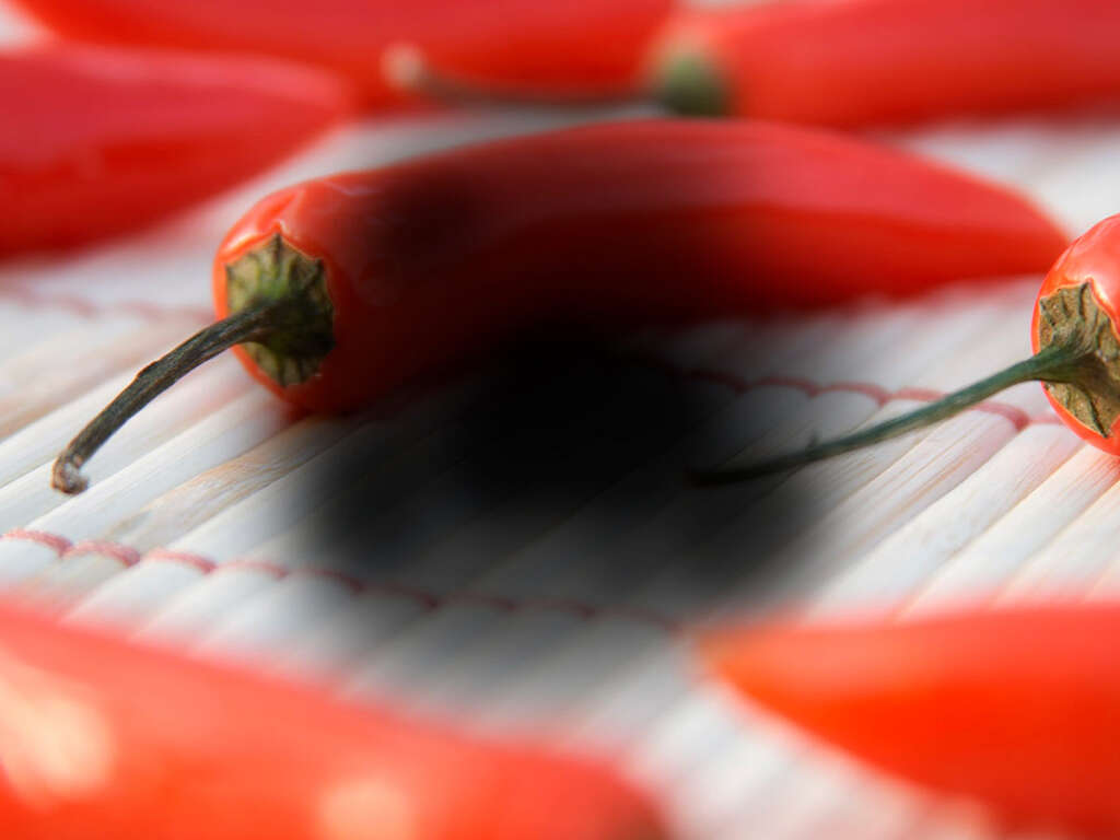 Macular Degeneration