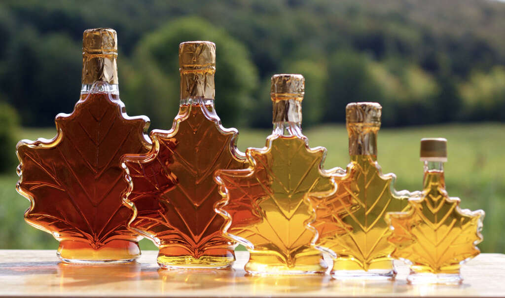 Maple Syrup