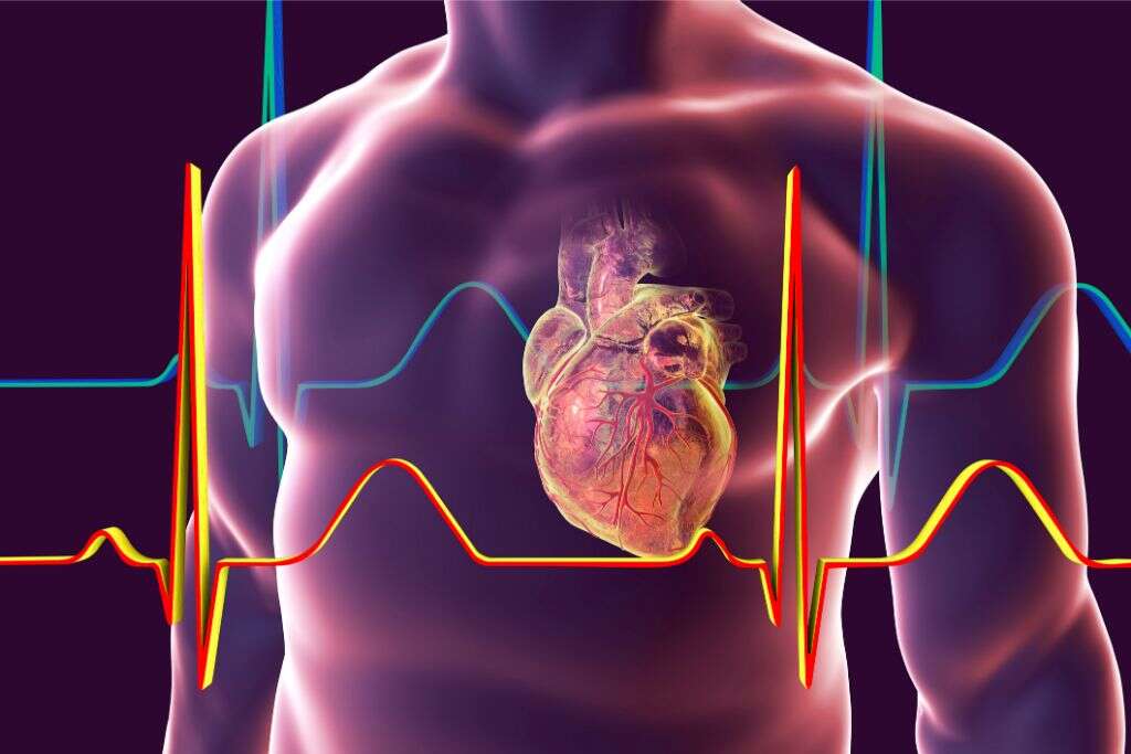 Common Heart Conditions
