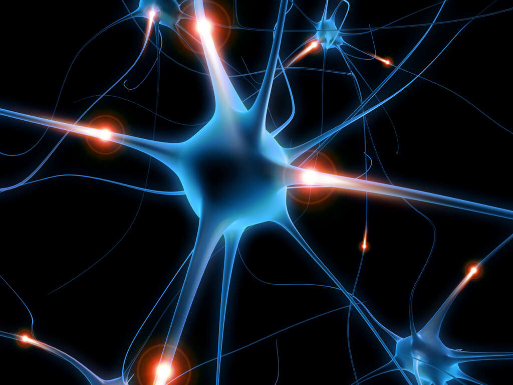 Neuropathy
