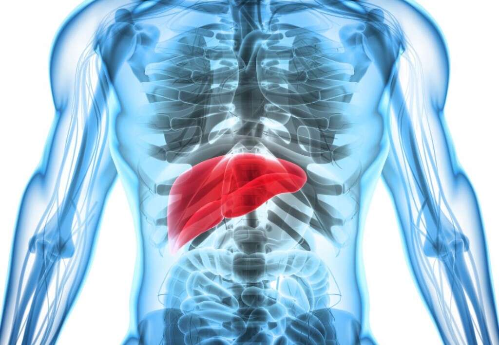 Non-Alcoholic Fatty Liver Disease