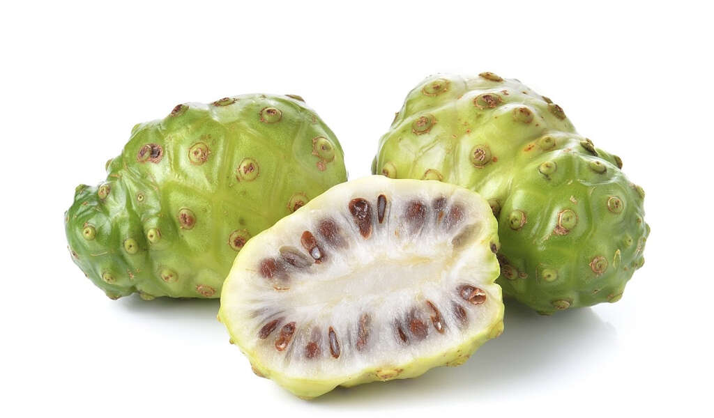 Noni Juice