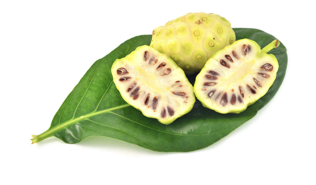 Noni Juice