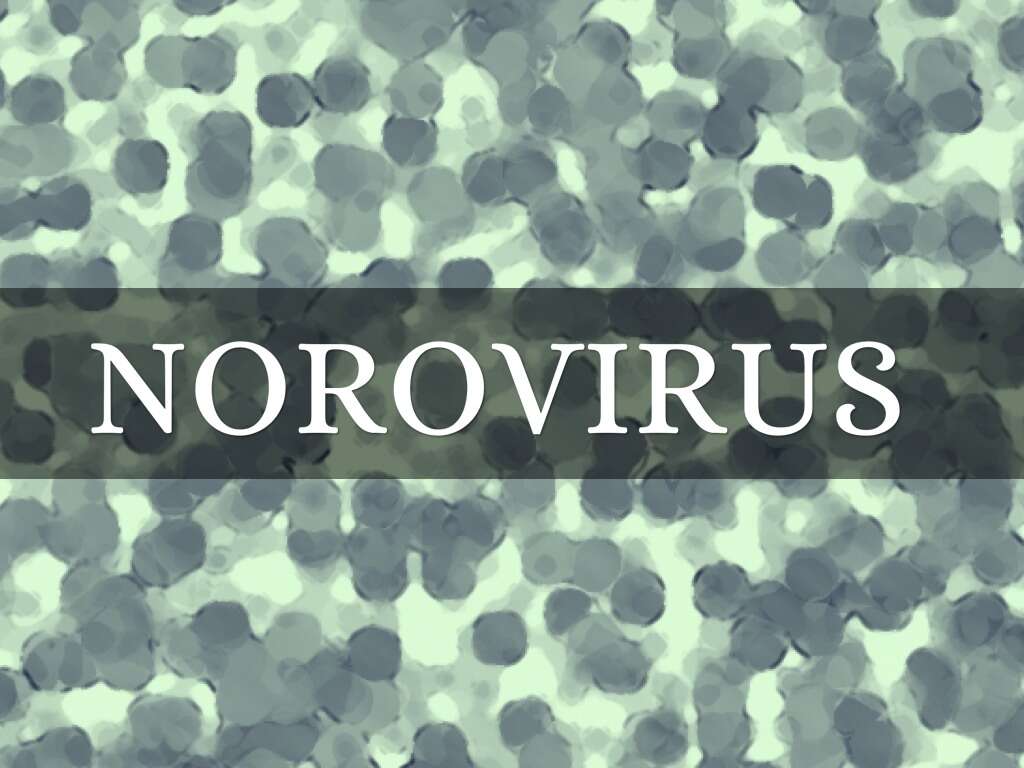 Norovirus
