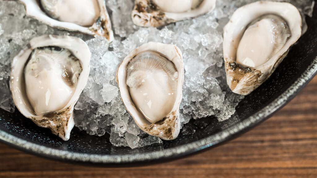 Oysters