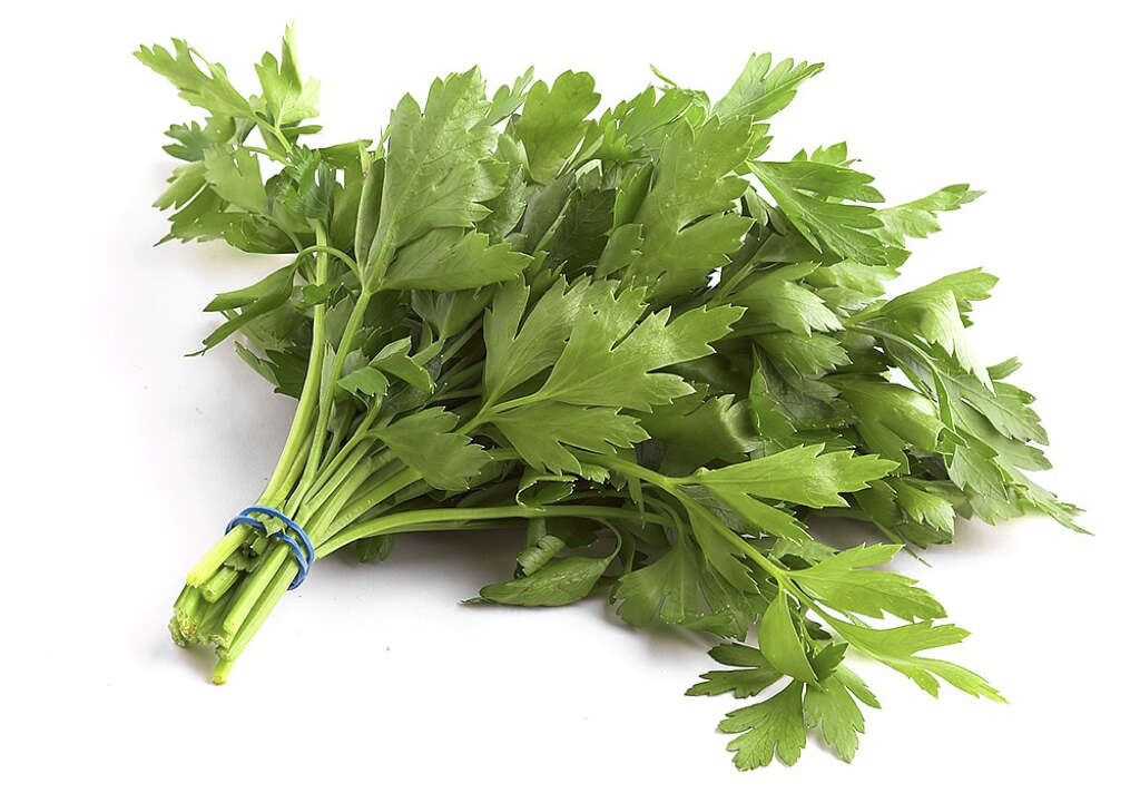 Parsley