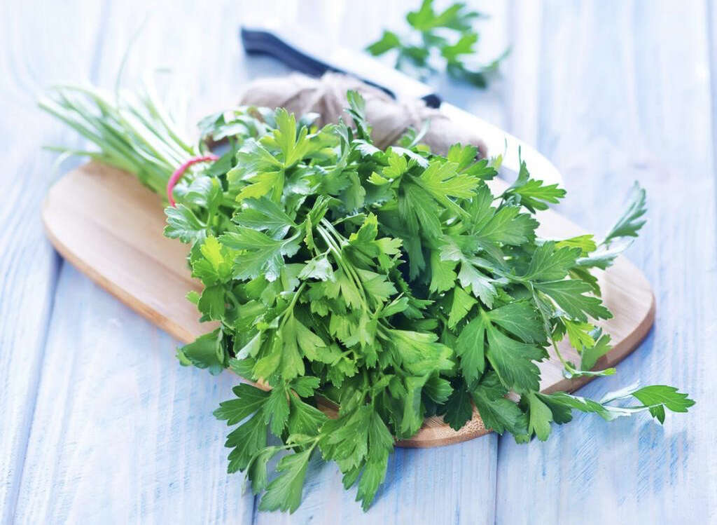 Parsley