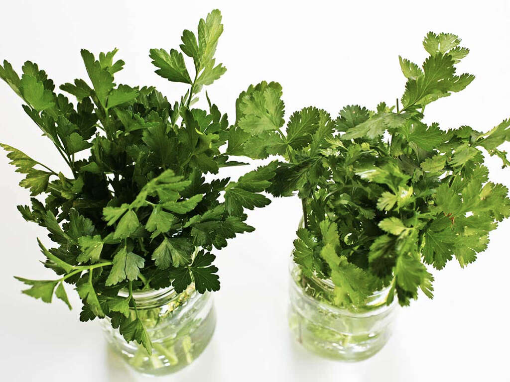 Parsley