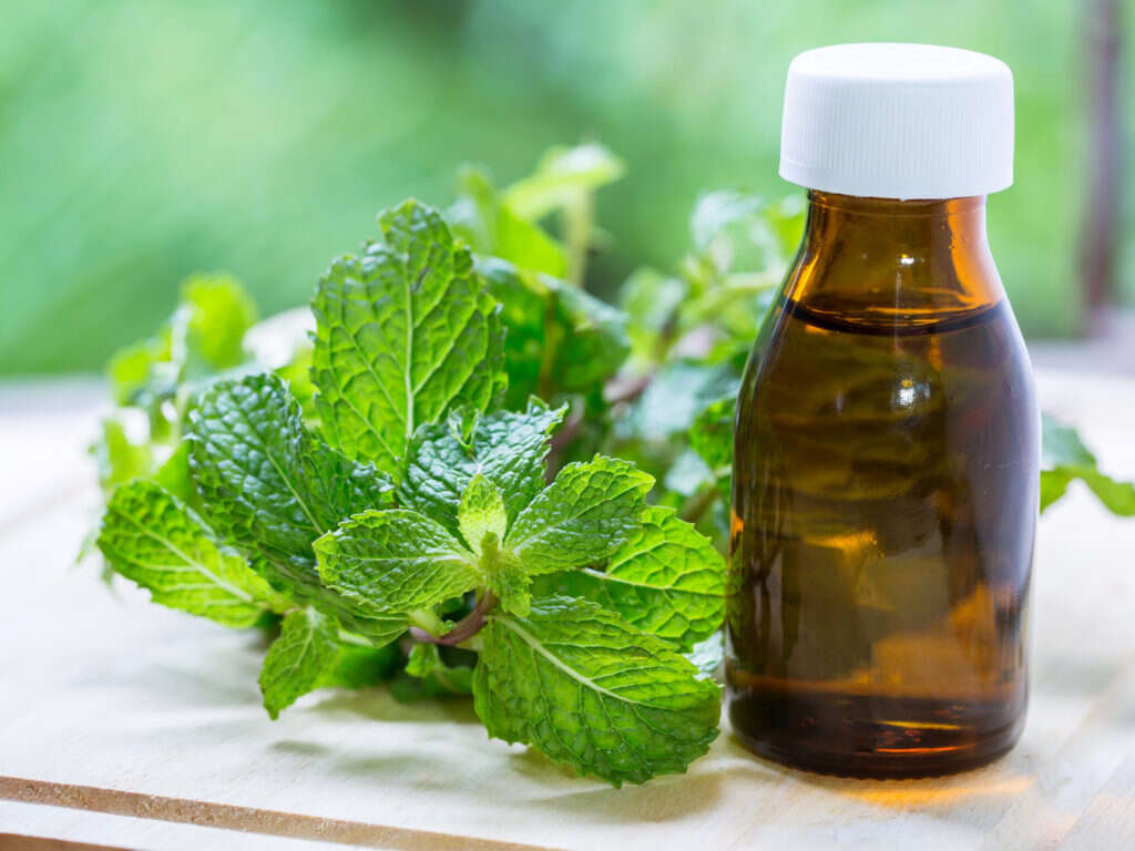 Peppermint Oil