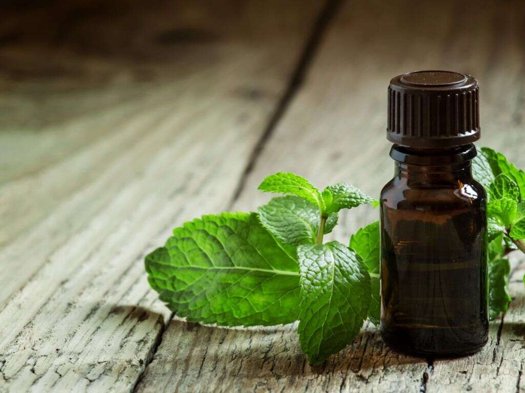 Peppermint Oil