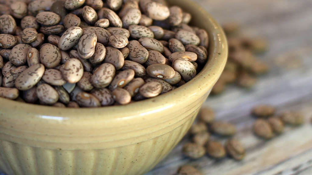Pinto Beans