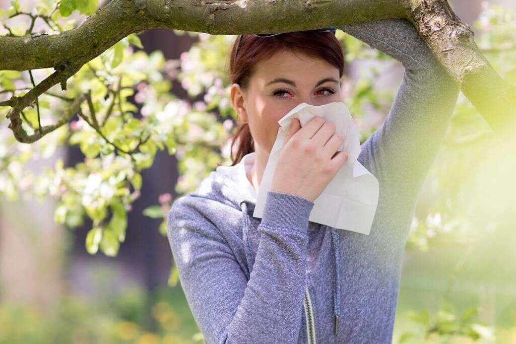Post Nasal Drip