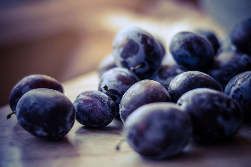 Prune Juice